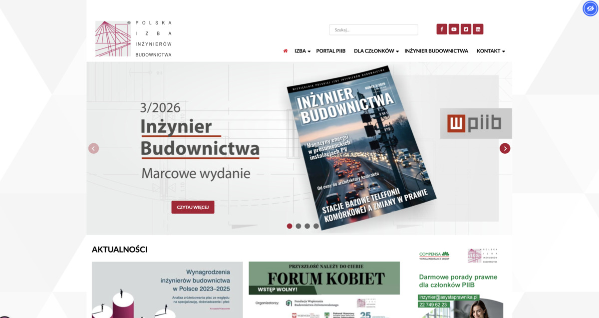 Audyt i analiza systemów informatycznych dla PIIB - Case Study